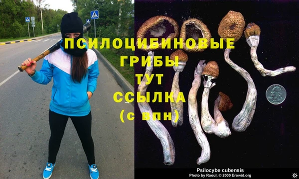 стафф Инта