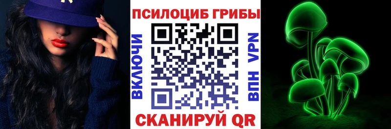 Купить  Шацк  Псилоцибиновые грибы мухоморы 